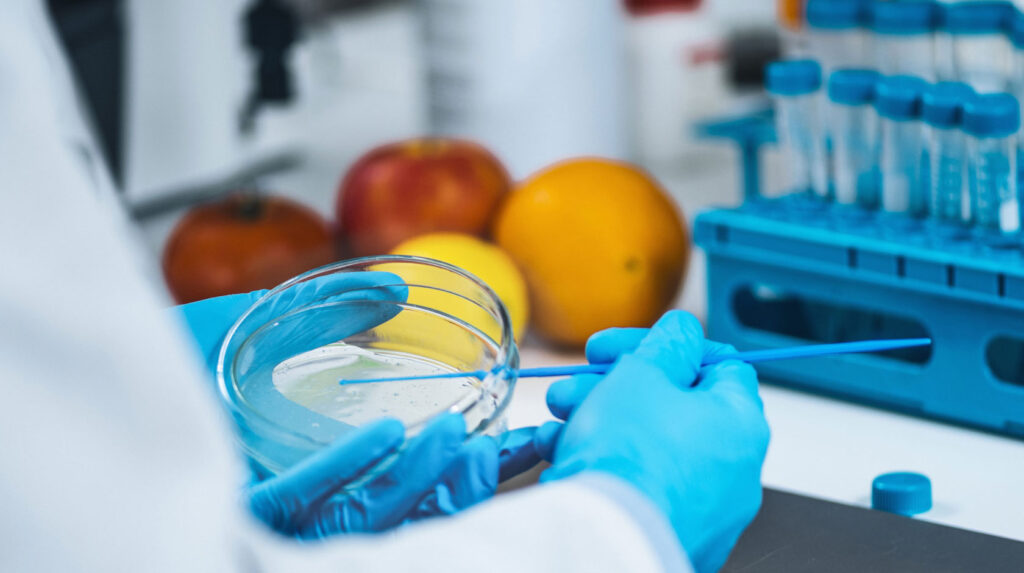 Supermercados, tiendas de Alimentación,  solicitan nuestras Servicios de Control Plagas en San Sebastián de los Reyes