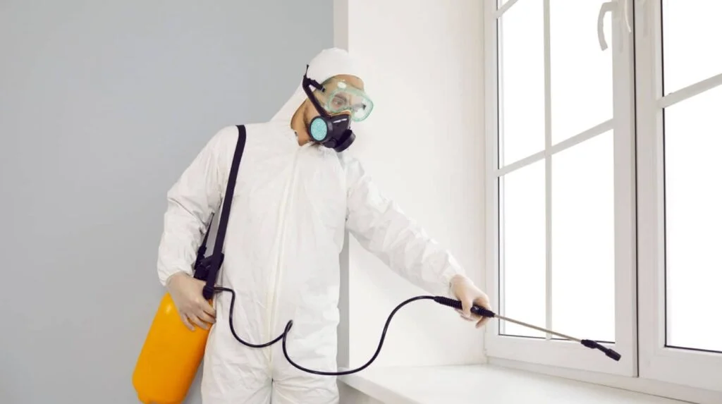 Servicio urgente de control de plagas en San Sebastián de los Reyes: chinches, sarna, legionella y aire interior.